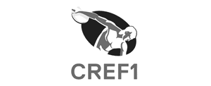 Logo do cliente 13